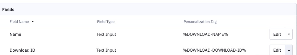 Custom_object_fields.jpg