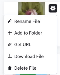 content_manager_file_options.jpg