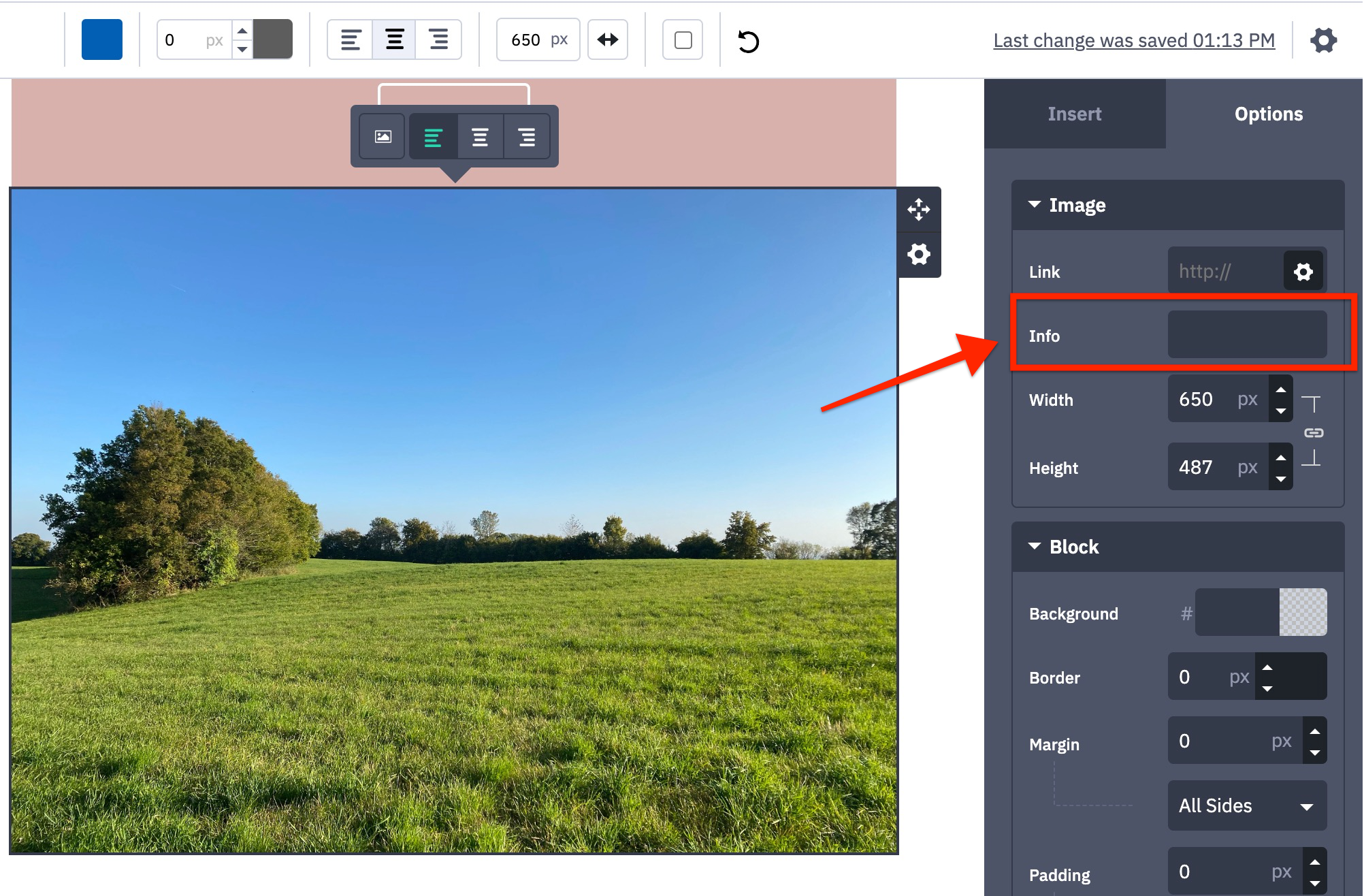 Classic_Designer_Info_Field_for_alt_text.jpg