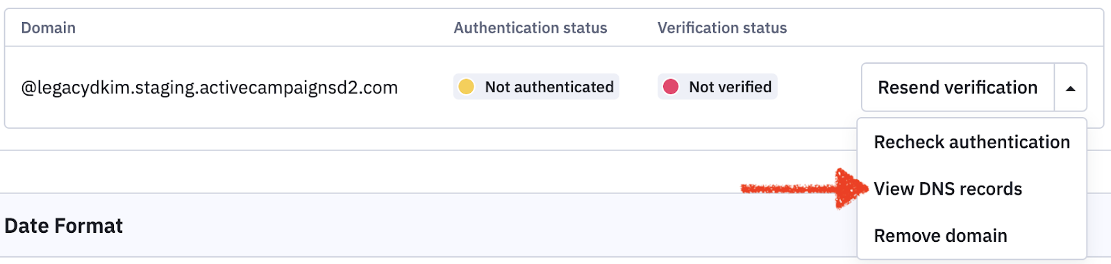View DNS records button.png