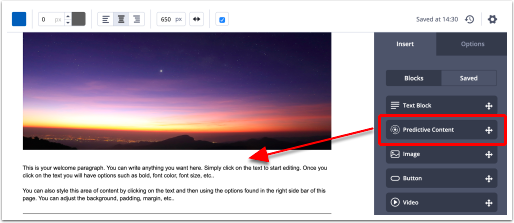 Campaign designer showing the Predictive Content block.