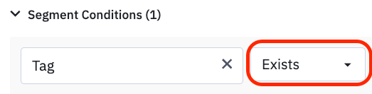 Part of the segment builder showing Tag as the condition and Exists as the operator.