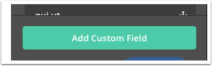 Add_custom_field_button_in_the_form_builder.png