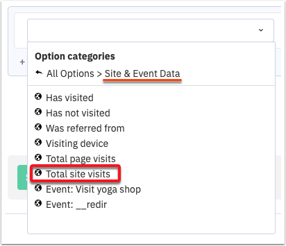 Site & Event Data Segment Category.png