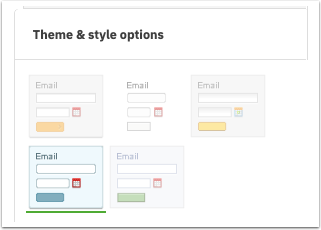 Theme Style and options modal.png