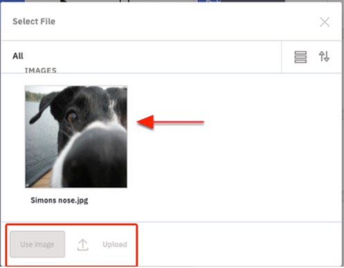Use_Image_and_Upload_buttons.png